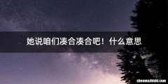 她说咱们凑合凑合吧！什么意思