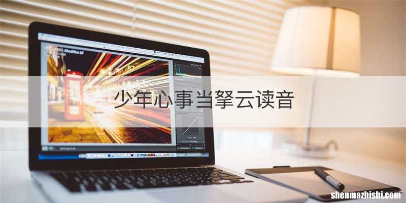 少年心事当拏云读音
