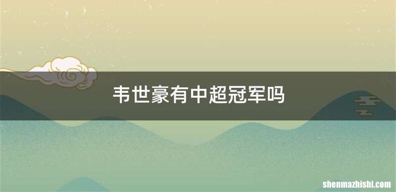 韦世豪有中超冠军吗