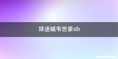 球迷喊韦世豪sb