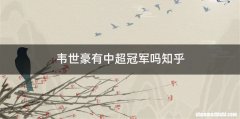 韦世豪有中超冠军吗知乎