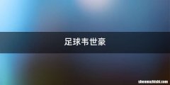 足球韦世豪