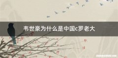 韦世豪为什么是中国c罗老大