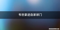 韦世豪进自家球门