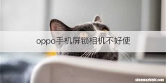 oppo手机屏锁相机不好使