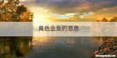 黄色金鱼的意思
