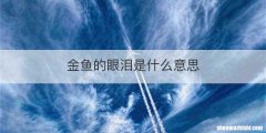 金鱼的眼泪是什么意思
