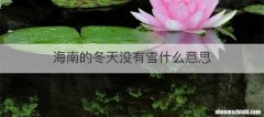 海南的冬天没有雪什么意思