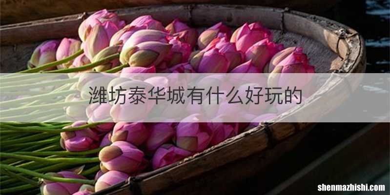 潍坊泰华城有什么好玩的