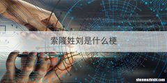 索隆姓刘是什么梗