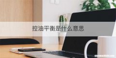 控油平衡是什么意思