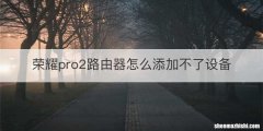 荣耀pro2路由器怎么添加不了设备
