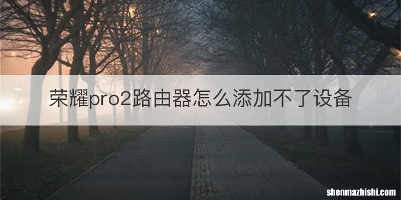 荣耀pro2路由器怎么添加不了设备