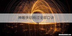 神雕侠侣杨过全部口诀