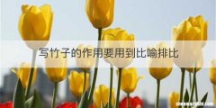 写竹子的作用要用到比喻排比