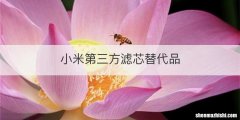 小米第三方滤芯替代品