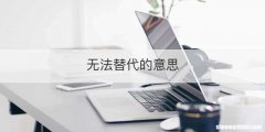 无法替代的意思