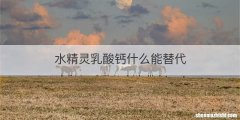 水精灵乳酸钙什么能替代
