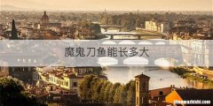魔鬼刀鱼能长多大