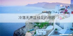 冷落无声湿桂花的原因
