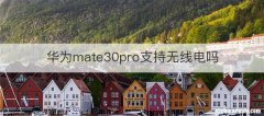 华为mate30pro支持无线电吗