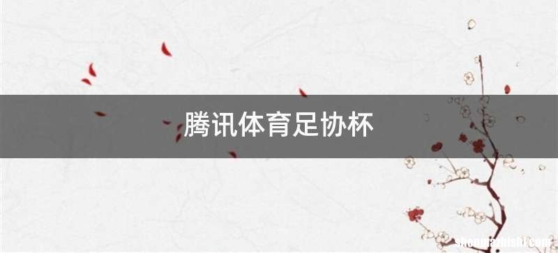 腾讯体育足协杯