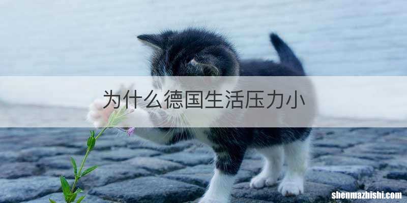 为什么德国生活压力小