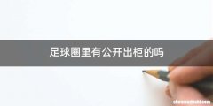 足球圈里有公开出柜的吗