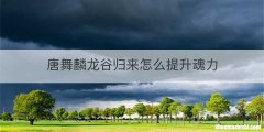唐舞麟龙谷归来怎么提升魂力