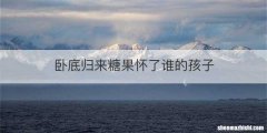 卧底归来糖果怀了谁的孩子