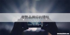夸赞品牌好的诗句