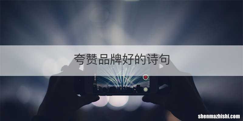 夸赞品牌好的诗句
