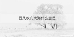 西风吹向大海什么意思