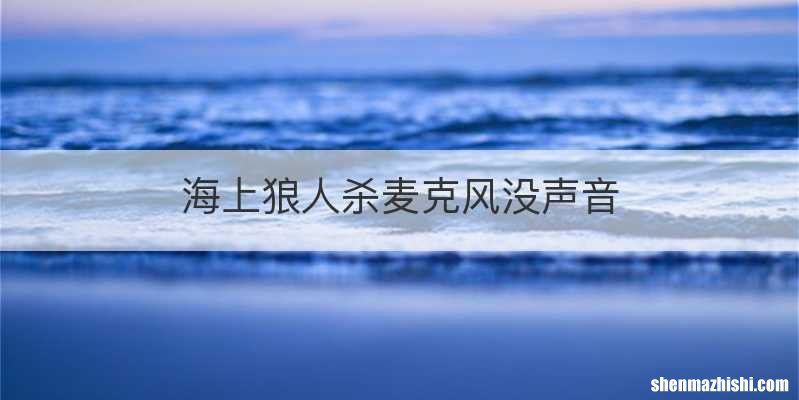 海上狼人杀麦克风没声音