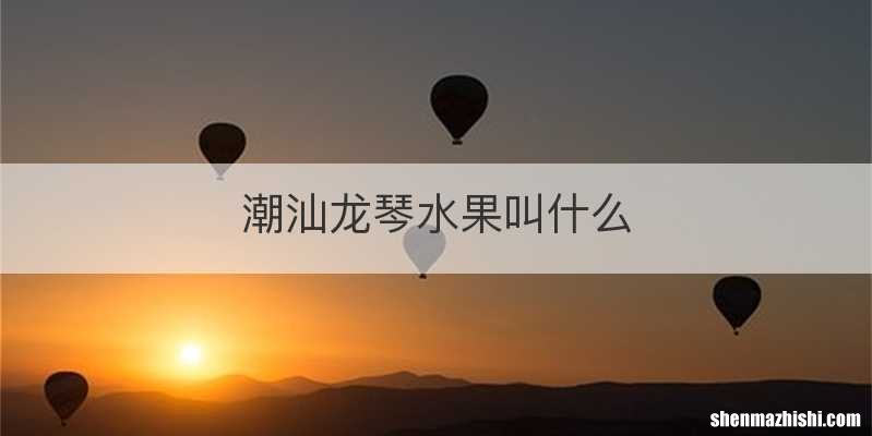 潮汕龙琴水果叫什么