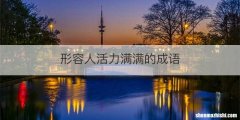 形容人活力满满的成语