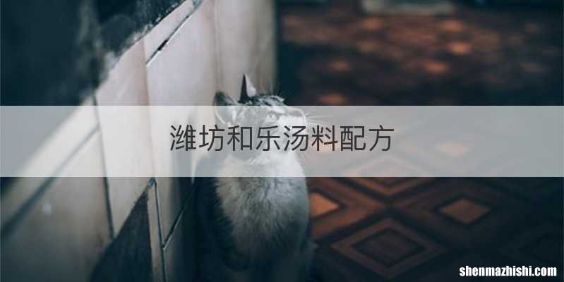 潍坊和乐汤料配方