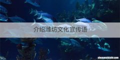 介绍潍坊文化宣传语