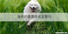 身体的重要性名言警句