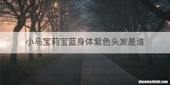 小马宝莉宝蓝身体紫色头发是谁