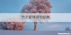 竹子爱情诗句经典