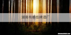 湖南有哪些啤酒厂