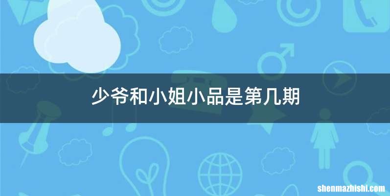 少爷和小姐小品是第几期
