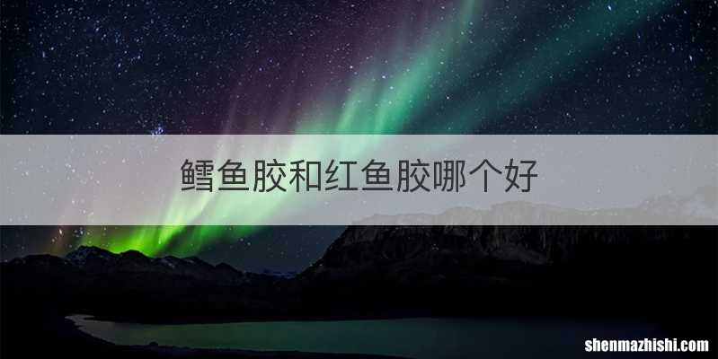 鳕鱼胶和红鱼胶哪个好