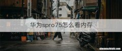 华为spro75怎么看内存