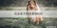花盆是方的还是圆的好