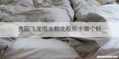贵阳飞龙雨水和北极熊水哪个好