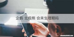 企鹅 北极熊 会来生理期吗