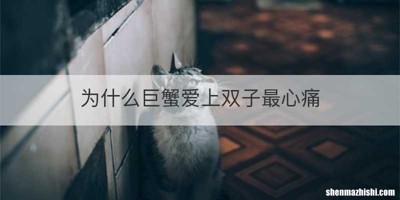 为什么巨蟹爱上双子最心痛