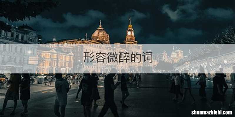 形容微醉的词